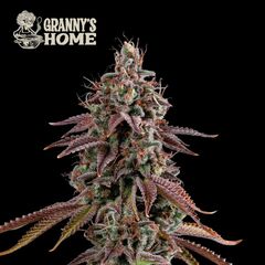 Granny's Home, Фасовка: 1